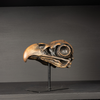 Last Flight Bird Skull on Stand