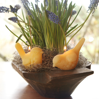 Song Bird Candles – 100% Pure Beeswax – Hand-Crafted: Pecking