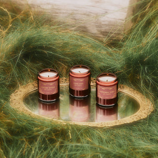 Ancient Myrrh – 7.2oz Candle