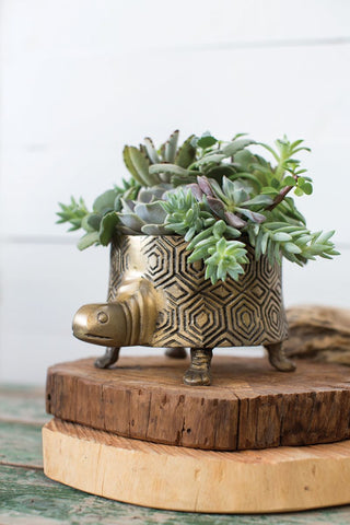 Brass Turtle Pot