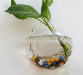 Indie South | Hanging Glass Terrarium