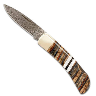 Santa Fe Stoneworks | Mammoth Tooth 3" Lockback Knife - Single