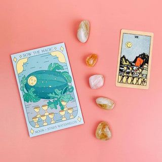 Moon and Stars Watermelon Tarot Garden + Gift Seed Packet