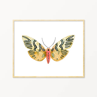 Snoogs & Wilde Art | Moth #9 ~ Art Print