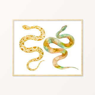 Snoogs & Wilde Art | Snakes #7 ~  8x10 Art Print