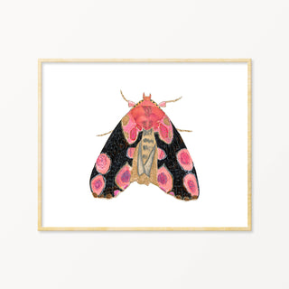 Snoogs & Wilde Art | Moth #2 ~ Art Print