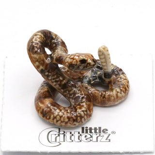 Little Critterz | Shakes - Rattlesnake Porcelain Miniature