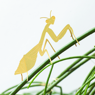 Another Studio| Plant Animal - Praying Mantis