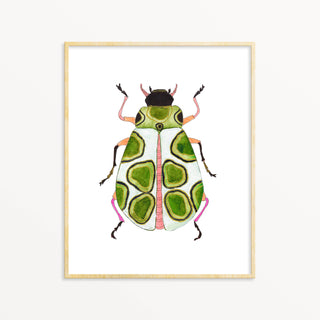 Snoogs & Wilde Art - Beetle #24 ~ Art Print