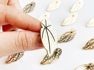 Paper Anchor Co. | Begonia Maculata Leaf Lapel Pin
