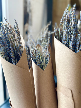 Indie South | French Lavender Bundles