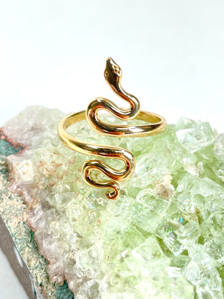 Adjustable Snake Ring