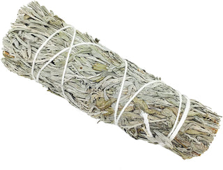 Blue Sage Bundle - 4"