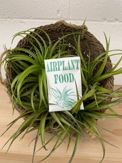 Indie South | Air Plant Food