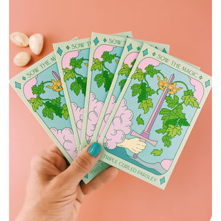 Triple Curled Parsley Tarot Garden Seeds