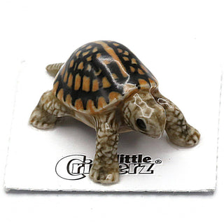 Dom The Box Turtle - Porcelain Miniature