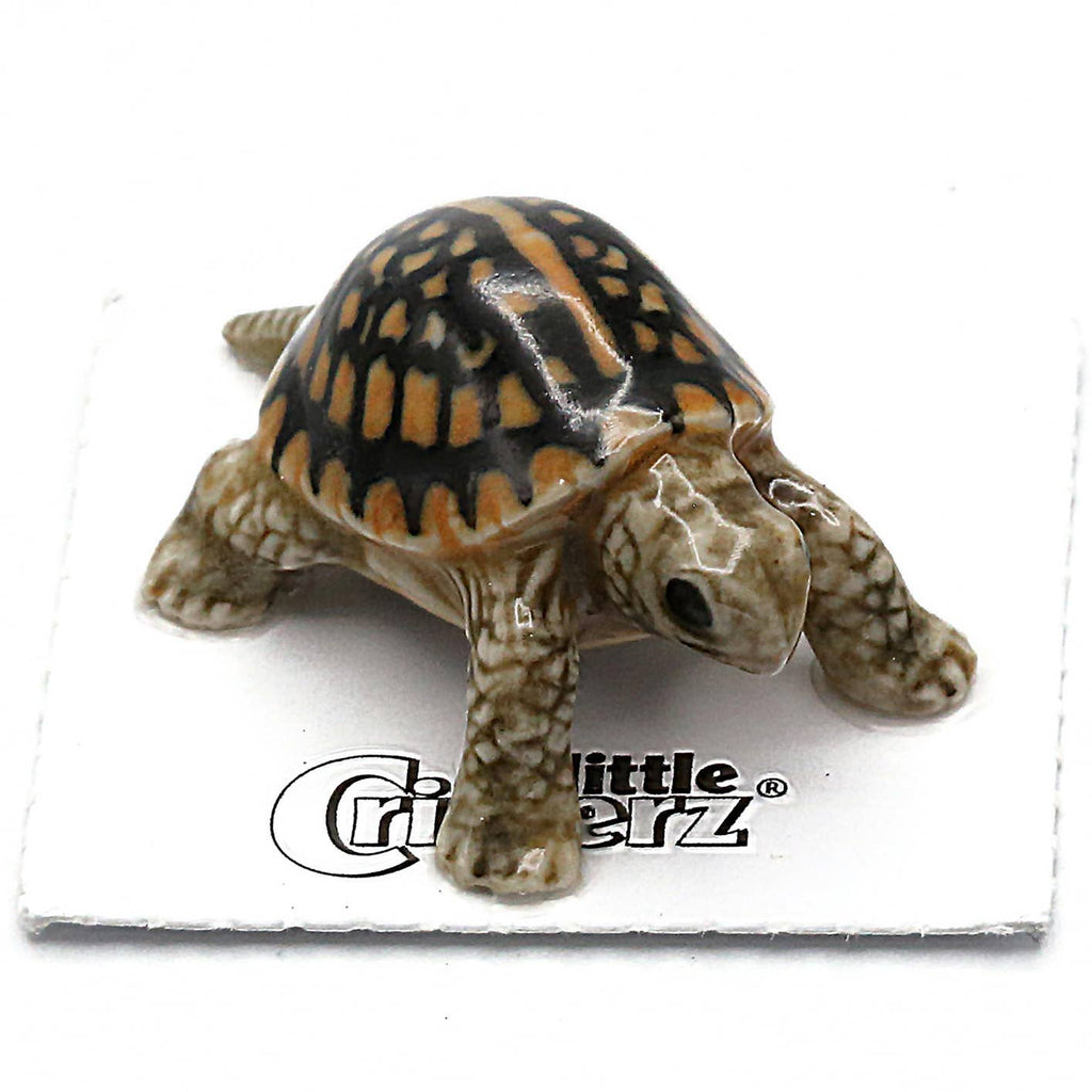 Dom The Box Turtle - Porcelain Miniature – Indie South