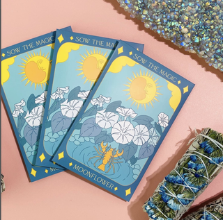 Moonflower - Tarot Garden Seeds