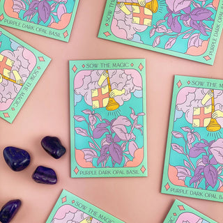 Purple Dark Opal Basil Tarot Garden Seeds