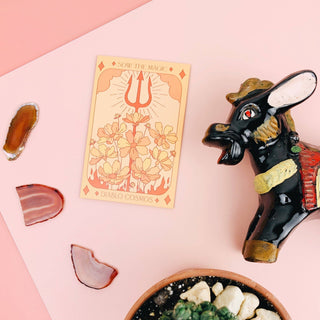 Diablo Cosmos - Tarot Garden Seeds