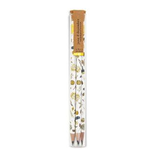 June & December | Seed Pods Pencil Terrarium