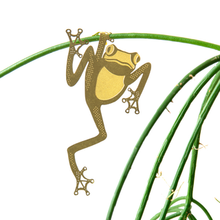 Another Studio | Plant Animal - Tree Frog