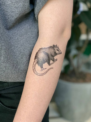 Opossum Temporary Tattoo