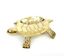 Brass Turtle Cone Burner